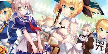 命運冠位指定 游戲與動畫的雙重魅力